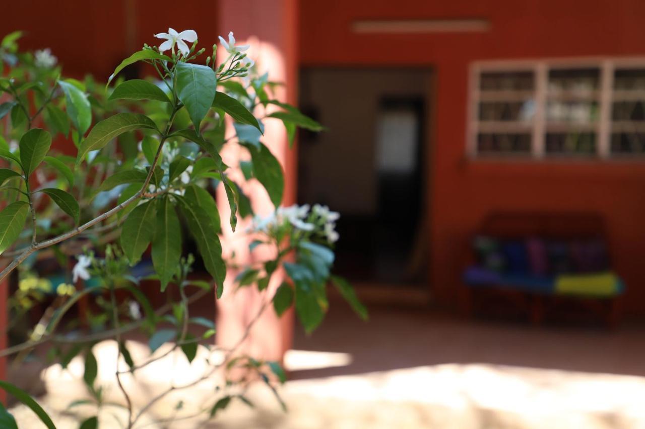 Butterfly Apartments Livingstone Buitenkant foto